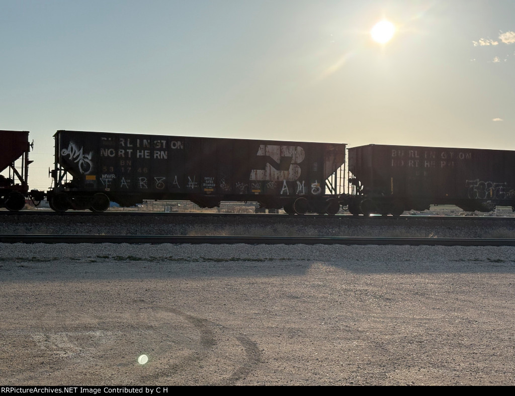 BN 531746